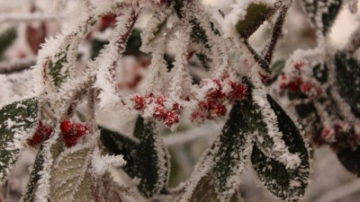 Yozgat'ta soğuk hava