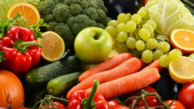 En besleyici 20 besin