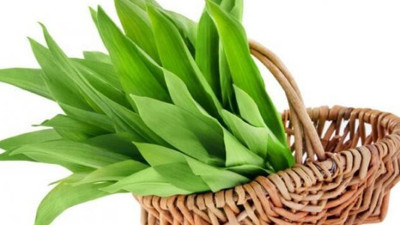 Virüse karşı en etkili yöntem! Vücut direncini artırıyor