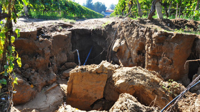 Manisa'da ürperten görüntülere Türk profesörden ezber bozan açıklama.