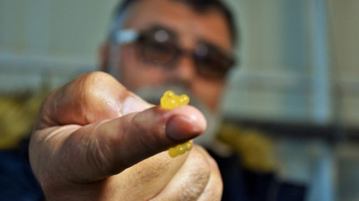 Muş’ta 45 gün bekletilip satılıyor. Servet değerinde