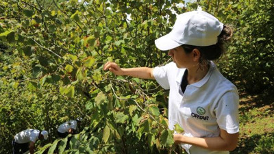 20 ülke almak için sırada. Kanserin baş düşmanı her derde deva