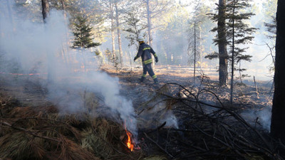 Bolu'da ormanlık alanda yangın