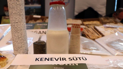 Vegan beslenenler için kenevir sütü
