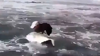 Yaşasın iyi insanlar kahrolsun kötü insanlar . Cennete gitmek istiyorsanız iyi insan olun yeter