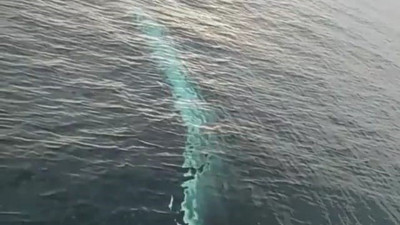 Adana'da balık tutmak için denize açılmışlardı. Öyle bir şey gördüler ki heyecanları doruk yaptı