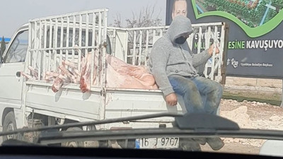 Şanlıurfa'nın göbeğinde et skandalı. Rezilliğin daniskası. Hollanda ineği değilse at eti