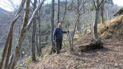 Rize'de ölümcül pençe darbelerinden kaçış. Ormanda heyecan dolu anlar