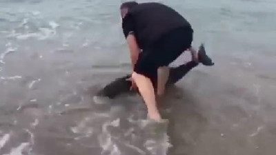 Türkiye'den dünyaya muhteşem örnek. Dünya dönüyorsa bu iyi insanların yüzü suyu hürmetine