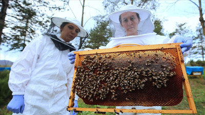 Doğayla beraber arıların da dengesi bozuldu