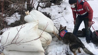 Narkotik köpekleriyle yapılan aramada kilolarca esrar bulundu
