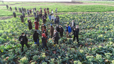 Adana Büyükşehir Belediyesi'nden sofraları ucuzlatacak uygulama. Kadınları seferber ettiler