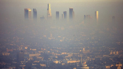 Her 5 ölümden birinin sebebi Harvard Üniversitesi'nin araştırmasında ortaya çıktı