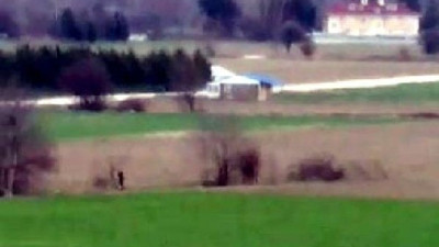 Köpeğe cinsel saldırıda bulunan kişiye para cezası