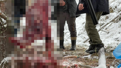 Hamile karacaya bunu yaptılar. Anne karnında birbirlerine sarılacak can verdiler