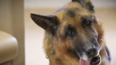 Görev arkadaşları Takla'ya böyle veda etti