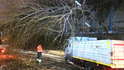İstanbul'da kar yağışı etkisini sürdürüyor. Yola devrilen ağaç trafiği felç etti