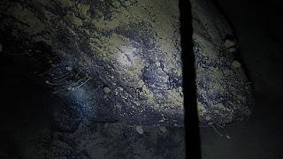 Antarktika’da 900 metre derinlikte bulundu. Buzul bilimcileri görünce buzları kırmayı bıraktı