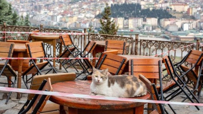 Bakan Koca sinyalini verdi. Kafe ve lokantaların nasıl açılacağı belli oldu