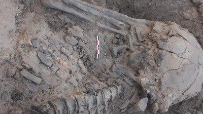 Ürdün'de arkeologlar kazma omuriliğe saplanınca çalışmayı durdurdu. Cenin pozisyonunda bulundu