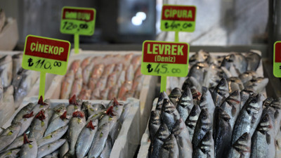 Siyanürden bile katbekat zehirliler. Balon balığı tehlikesi tezgahlarda fiyatları etkiledi