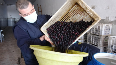 Zeytinde akılalmaz hile. Alırken bir değil bin kere düşünün