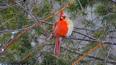 Milyonda bir oluyor. Yarısı erkek yarısı kadın