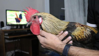 Öterken bayılan 'Bahtiyar' baba oldu. Seyretmeye doyama