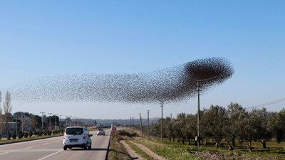 70 kilometre hızla gökyüzünde şov