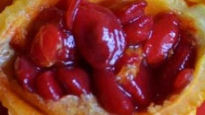 Kırıkları kaynatan kemikleri güçlendiren süper meyve. Türk doktorları resmen ispatladı