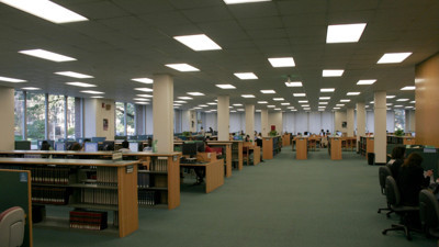 Zehirli örümcekler kütüphaneyi bastı. 2 gün hizmet veremedi