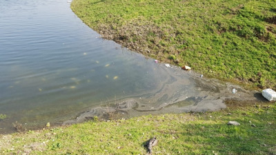 Balık tutmaya gidenler gözlerine inanamadı. İstanbul'un en önemli su kaynaklarından biri