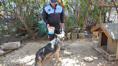 Cezaevindeki tutuklunun hayvanları belediyeye emanet