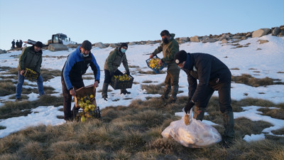 Uludağ zirvesinde yemleme yapıldı