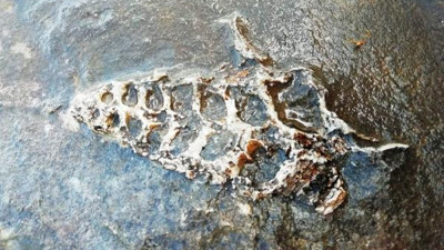 Adıyaman'da 70 milyon yıldır aynı yerde duruyor. Ava çıkan avcının ayağına takıldı