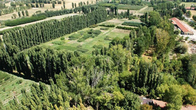 Atatürk Orman Çiftliği'nde gizli ihale. Ağaçları kesip otopark yapacaklar