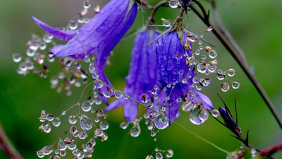 Üçüncü cemre düştü mü. Üçüncü cemre ne zaman düşer. Cemre toprağa ne zaman düşecek