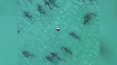 Sahili bir anda dört bir koldan kuşattılar. Akın akın geldiler. Hepsi bir anda olupbitti