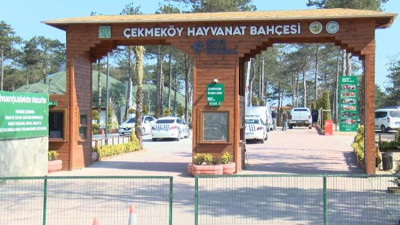 Hayvanat bahçesinde alacak verecek çatışması kanlı bitti. Ölenlerden biri ünlü çıktı