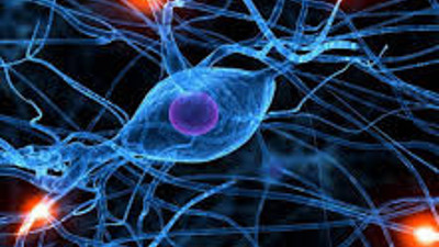 Sinirgelişimsel'de büyük tehlike. Mutasyonların yeni bir etkisi daha çıktı