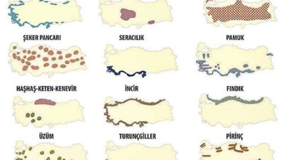 Ey gidi eski Türkiye sen neler üretirdin. O eski halinden eser yok şimdi!