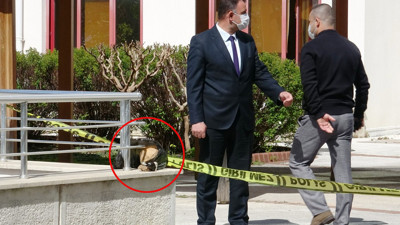 Antalya'da hastane bahçesinde bulundu. Derhal incelenmek üzere götürüldü