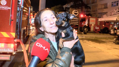 Üsküdar'da kahraman köpek sahibinin hayatını kurtardı. Uyandırmak için her şeyi yaptı