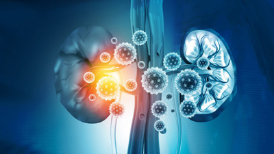 Böbrek hastalarına çok önemli korona virüs uyarısı