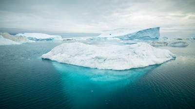 Çok gizli askeri operasyonda alınan topraktan çıktı. Dondurucuda unutup gitmişler
