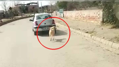 Skandal görüntüler olay oldu