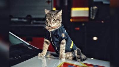 Donmaktan kurtarıldı itfaiye ekibine kurtarıldı