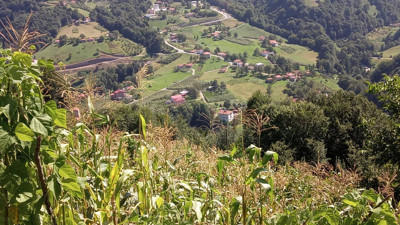 Eşini domuz sanıp öldüren koca: Islık çaldım tepki gelmeyince ateş ettim