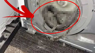 Tamirci eşyalarını bırakıp kaçtı. Motor kapağını açınca aniden ortaya çıktı