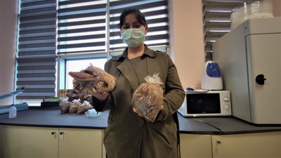 Kursların kapısında kuyruk oluştu. Üreten köşeyi dönüyor